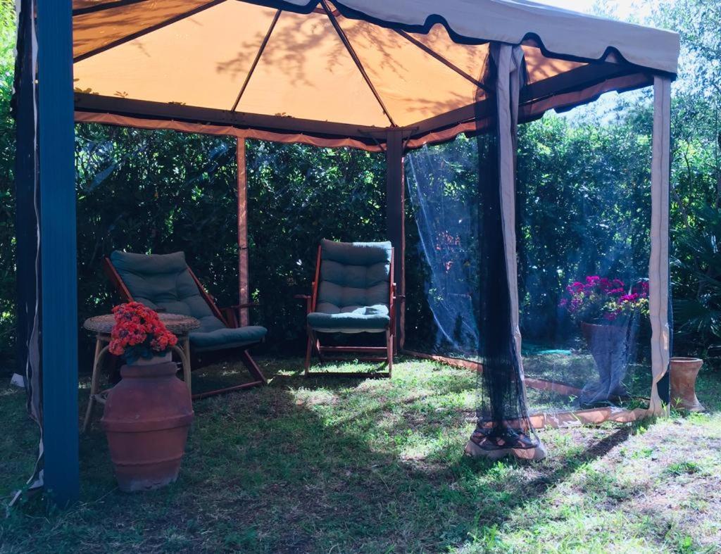 Cedro Del Libano Apartment Castiglioncello Luaran gambar